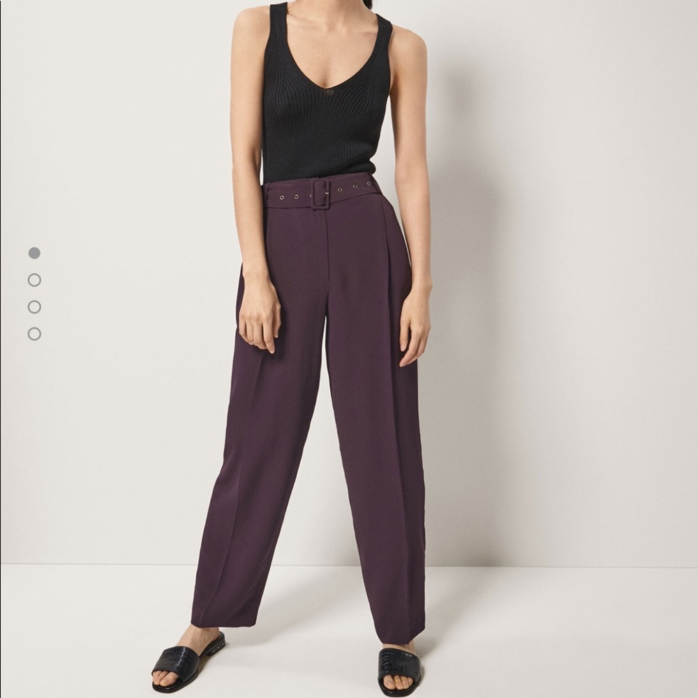 Massimo dutti pants